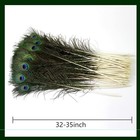 24pcs Peacock Feathers Long Natural In Bulk 32-35 Inch 80-90 Cm For V   