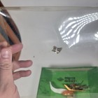 Traum Antique Victorian Brass Sewing Bird With Clamp   Original Pin Cushion Box