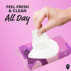 Island Splash Refreshing Daily Feminine Wipes  Removes Odor  Ph Balanced  32 Cou
