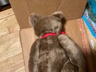 Vintage Steiff Bear Mohair Bear  0202 36 Year C 1968 He Is 12    Long Tan In Color
