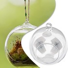 Hanging Glass Ball Vase Succulent Plant Terrarium Container Flower Pots