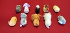 Zhu Zhu Pets Lot Of 10 Vintage Early To Mid 2000 s Working Condition