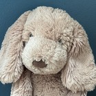 Jellycat Bashful Toffee Puppy Medium 12 Inches Brown Plush London