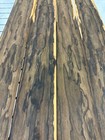 Ziricote Raw Wood Veneer 2 Sheets 65   X 4   233n