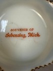  56m Antique Sebewaing Michigan White Milk Glass Eapg Souvenir Glass Change Dish