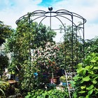 Metal Garden Arch Iron Garden Arbors Gazebo Dia81 3 x114 2 high Birdcage Shape P