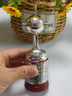 The Copa Libertadores Trophy Championship Trophy 16cm Height