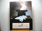 570 Vintage Appaloosa News Magazine Original  July 1982