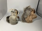 Sisal Bristle Raccoon And Squirrel 