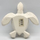        Bahamas Resin Sea Turtle Travel Tourist Souvenir Beach D  cor Figurine