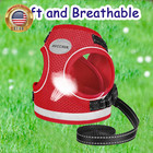 Cat Harness And Leash For Walking  Kitten Escape Proof Harnesses  Adjustable Ref
