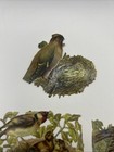 Lot Of 7 Victorian Antique German Scraps-die-cuts  Wild Birds