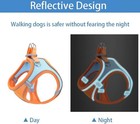 Cat And Dog Harness  No-pull Pet Vest With Leash For Walking  Mesh Harness