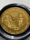 2004 American Silver Eagle 1 Oz Pure Silver Dollar Fully 24k Gold Plated Bu