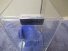 Authenticated Ty Beanie Baby Violet  Nf No Hang Tag  Writing On Tush Tag