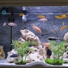 Fish Tank Plant Decoration Artificial Bamboo Ornament Plastic Small Plant Model