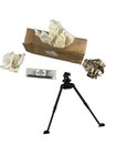British Parker Hale Bipod New In Box