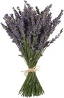 Natural Lavender Bundles  Freshly Harvested 200  Stems Dried Lavender Bunch 1   