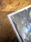 Predator Kills The Marvel Universe  1 Gabriele Dell  Otto 1 100 Virgin Variant