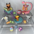 Authentic Littlest Pet Shop Lps Spring Basket 244 246 Shorthair Cat Great Dane