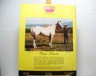 Vintage Appaloosa News Magazine Original July 1973