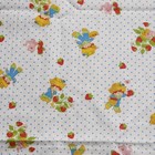 Strawberry Shortcake Huckleberry Pie Pupcake   Custard Curtains   Pillowcases