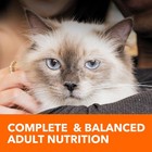 Iams Proactive Health Hairball Care Adult Dry Cat Food Chicken Salmon 16 Lb Bag