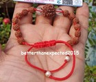 7 Mukhi Rudraksh  seven Face Rudraksha Bracelet- Nepal- Lab Certified -energized