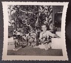 2 Vtg Black   White Christmas Photos Girl W Doll Presents   Several Children