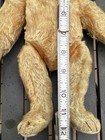 Antique Steiff Blank Button Mohair Jointed Teddy Bear C1906 12   