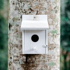 Bird House For Outside With Pole For Finch Bluebird Cardinals Garden Wooden H   