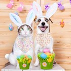 Easter Dog Bandana  2 Pack Adjustable Holiday Party Pets Rabbit Easter Egg 