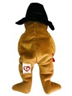      Plymouth      2004 Ty Beanie Babies Pilgrim Thanksgiving Bear   Turkey Nwt