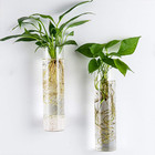 Wall-mounted Plant Terrarium With 4 Hanging Glass Tubes For Indoor Decor