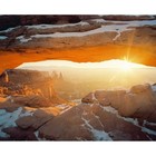 Kodak Professional Portra 400 Color Ne Film  120 Roll Film  5-pk  10 25