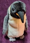 Ganz Webkinz Signature Series Emperor Penguin Plush Wks1010 11  Without Code