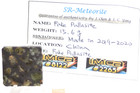 Fake  Chinese Pallasite Meteorite Slice  15 6 Grams 