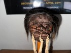 Short Haired Jivaro Shrunken Head -tsantsa