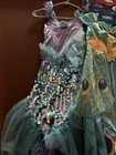 Disney Princess Dress Up costume 