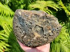 Lot Of 3 Brazilian Semi-spherical Rough Agates  10  Lbs  Ideal For Lapidary