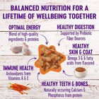 Grain Free Wet Cat Food Chicken Dinner Canned 5 5 Ounce Pack Of 12