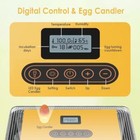 25 Egg Incubator Automatic Egg Turner Humidity Control Candler Hatching Tool New