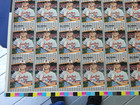 1989 Fleer Full Uncut Sheet Of Billy Ripken Cards  132 Block Cards