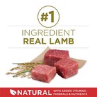 High Protein Dry Dog Food  Grain-free Lamb   Rice Formula  8 Lb Bag