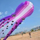 Large 15m Octopus Kite Single Line Kite Soft Ripstop Polyester Fabric With Bag