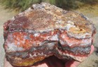 Crazy Lace Agate Rough   5 Lbs 5 Ozs