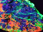 Xl Sw Uv Fluorescent Hardystonite Willemite Calcite   Clinohedrite Franklin Nj