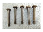 Trapdoor Screw Lock Plate Springfield 45-70 Rifle Carbine  Read Description 1 Ea