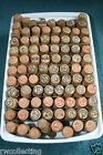  Boye Needles  3  Service New Royal -old Style  24 Lot 