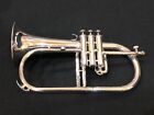 Yamaha Yfh-731 Professional Flugelhorn Used With Haed Case Mouthpiece